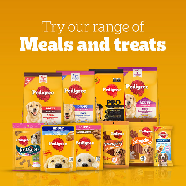 Pedigree Schmackos Stix Milk & Egg Flavour Puppy Dog Treat