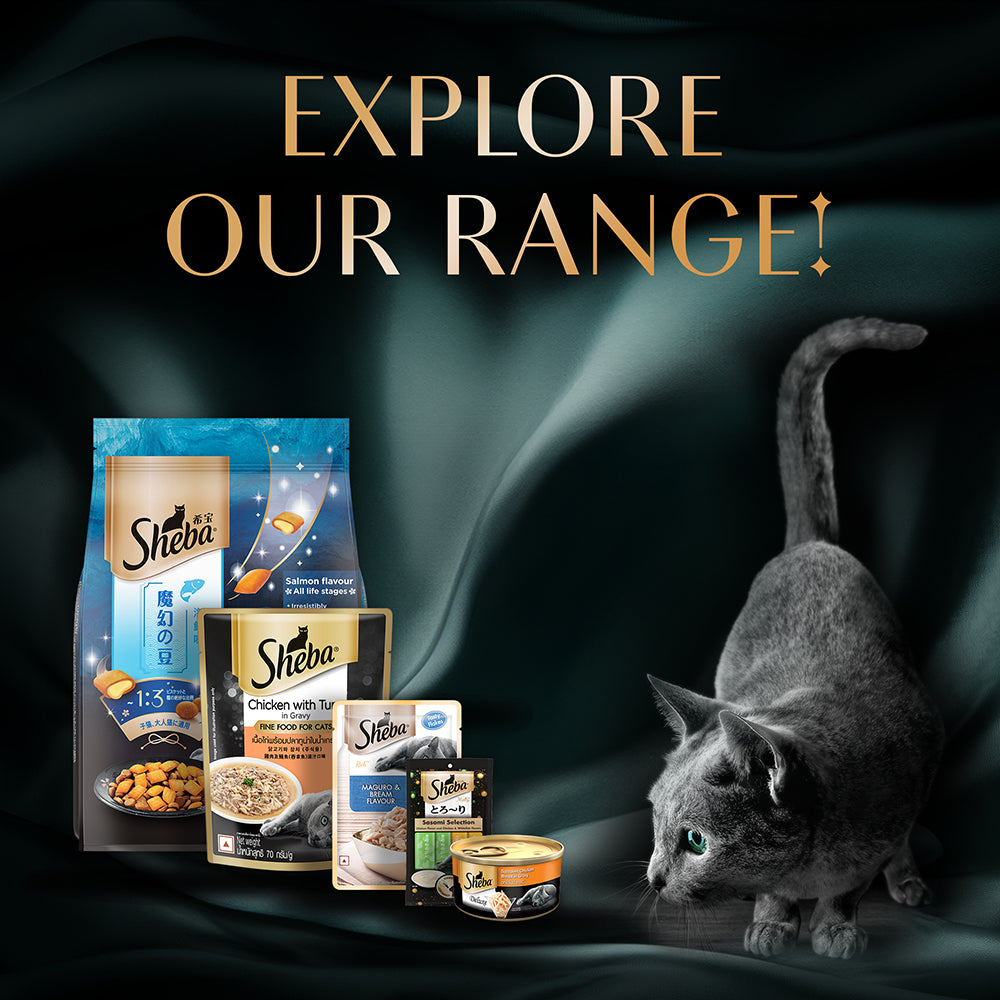 Sheba Tuna Fillet & Whole Prawns in Gravy Premium Cat Wet Food Cats-Wet Food Sheba