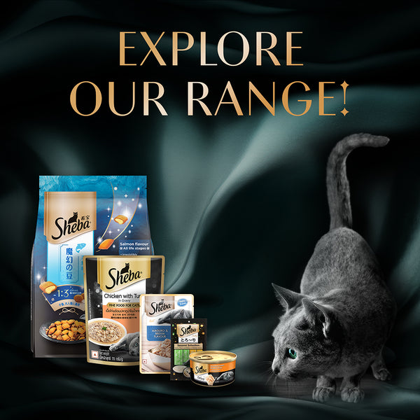 Sheba Tuna Fillet & Whole Prawns in Gravy Premium Cat Wet Food
