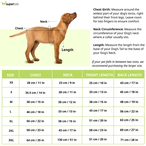 15 Furries Nawab Kurta for Dogs