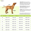 15 Furries Phataka Kurta for Dogs Dogs-Clothing & Accessories 15 Furries Dropship
