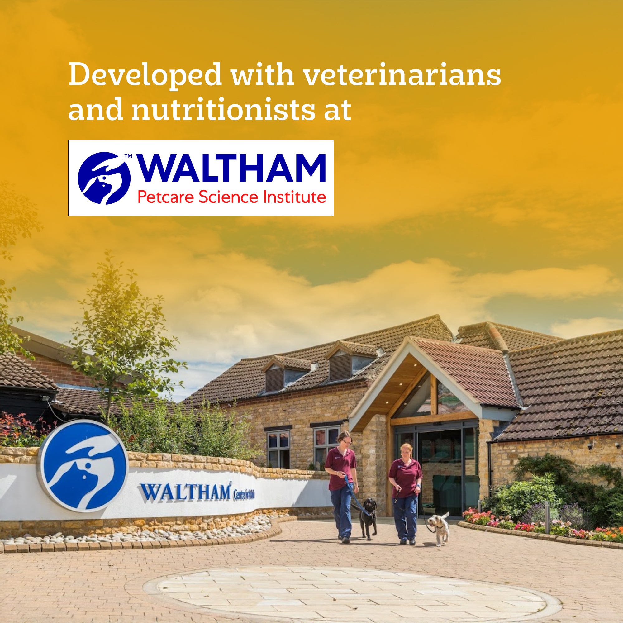 Pedigree Chicken and Vegetables Adult Dog Dry Food Dogs- Dry Food Pedigree