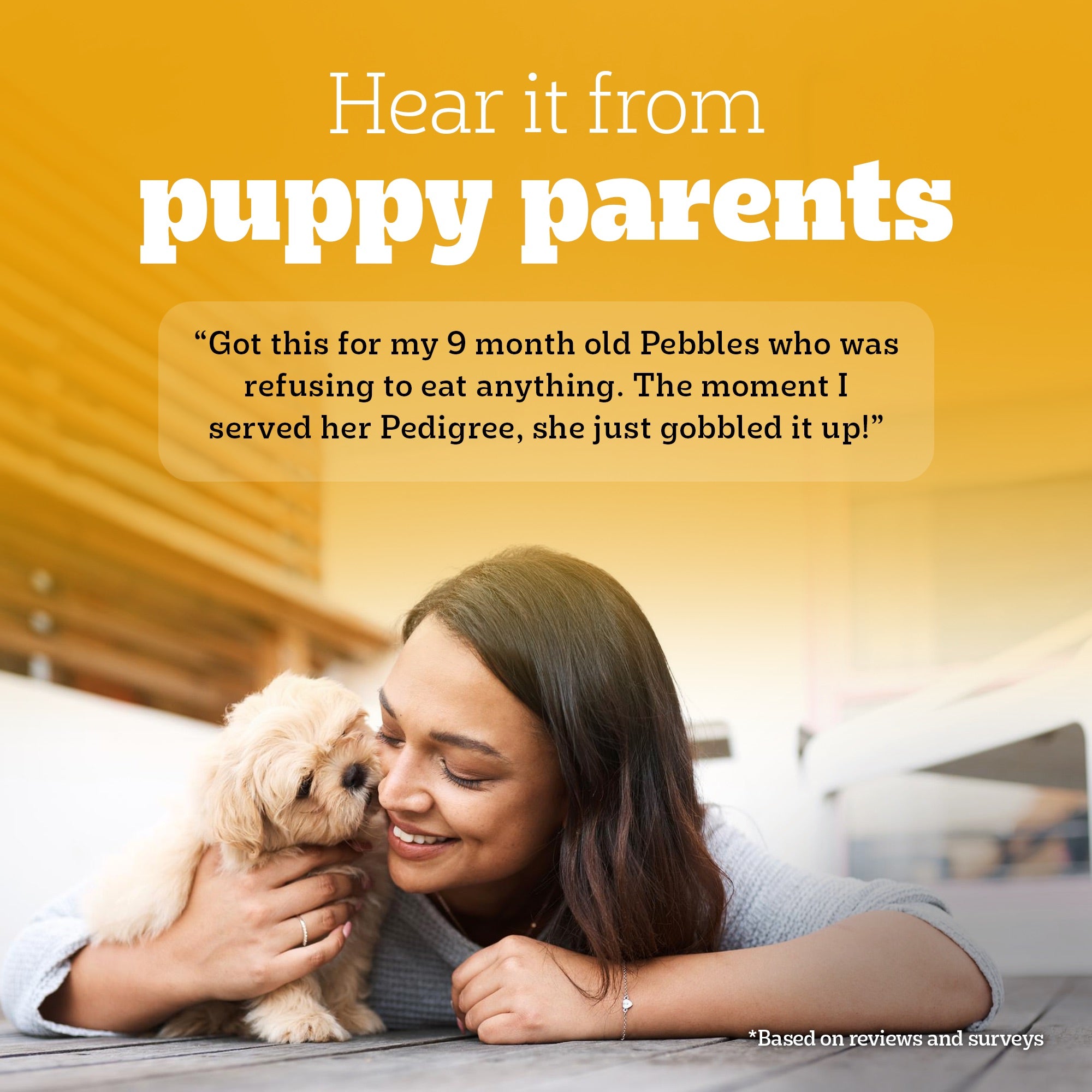 Pedigree Chicken & Liver Chunks in Gravy Puppy Wet Dog Food Dogs-Wet Food Pedigree