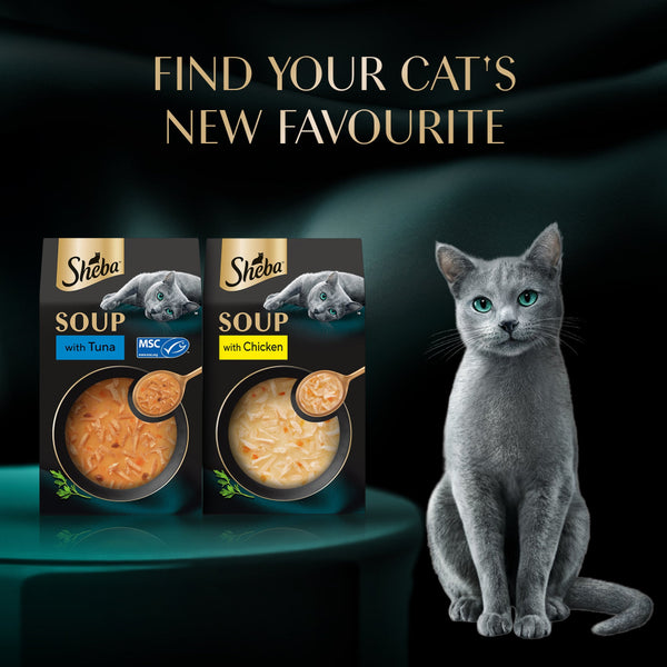 Sheba Soup with Chicken Adult Cat Wet Food