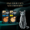 Sheba Soup with Chicken Adult Cat Wet Food Cats-Wet Food Sheba
