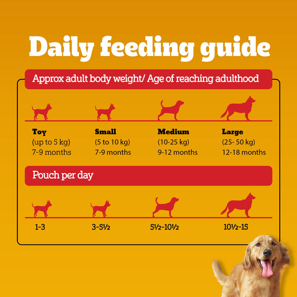 Pedigree Roasted Lamb Flavour Chunks in Gravy Adult Dog Wet Food
