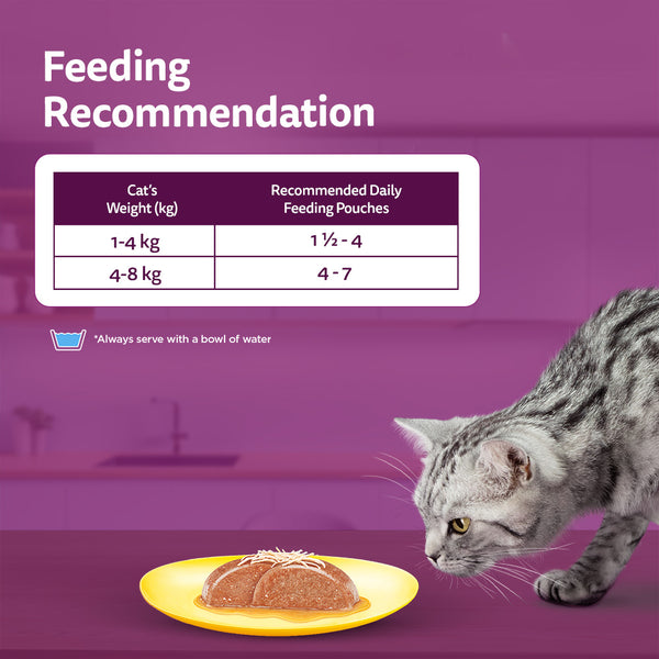 Whiskas Junior Tuna and Chicken Meat in Jelly Flavour Adult (1+ years) Cat Wet Food