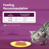 Whiskas Junior Tuna and Chicken Meat in Jelly Flavour Adult (1+ years) Cat Wet Food Cats-Wet Food Whiskas