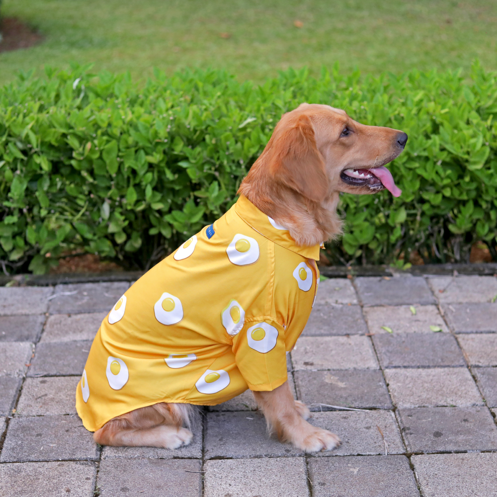 15buttons Sunny Side Up Shirt for Dogs Dogs-Clothing & Accessories 15buttons Dropship