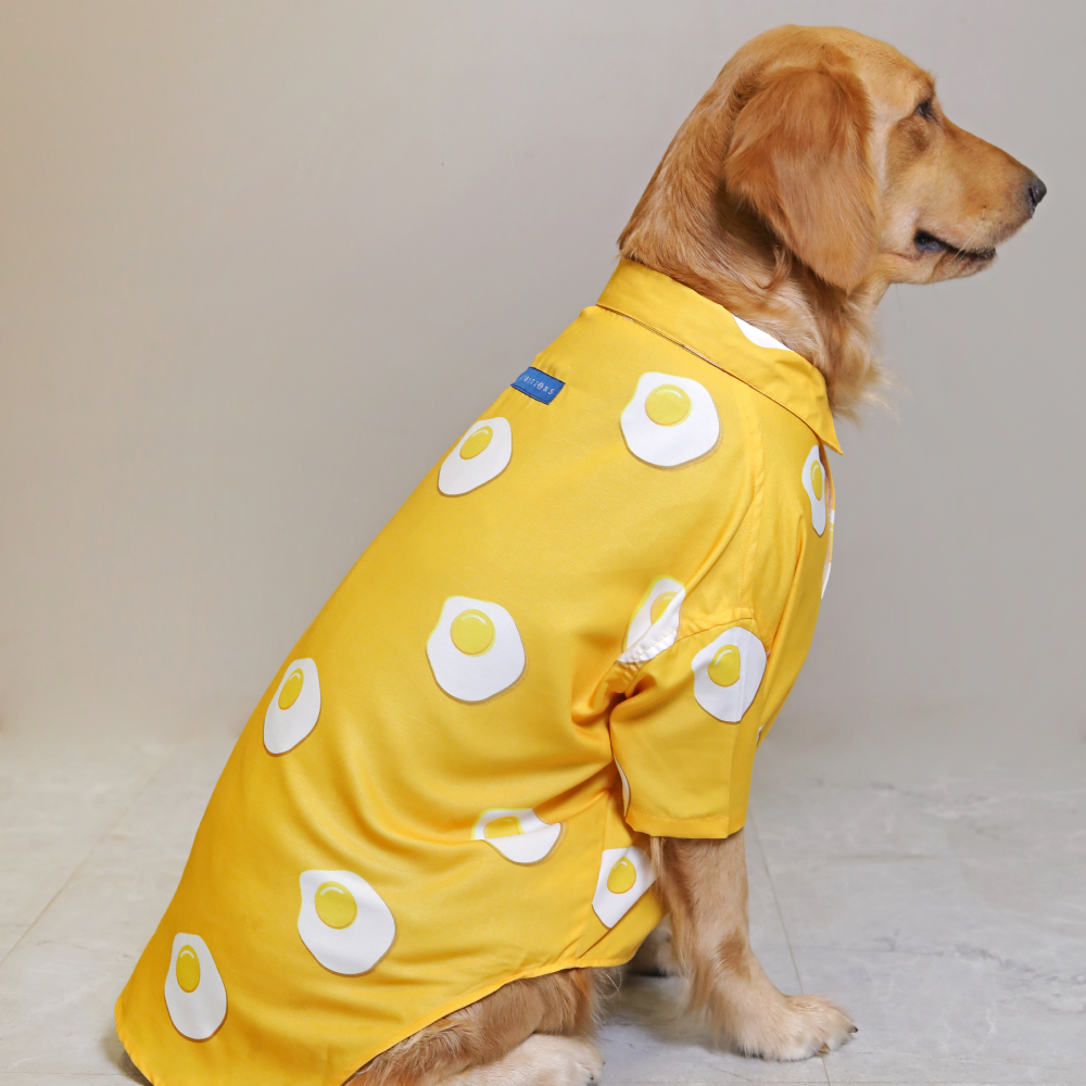 15buttons Sunny Side Up Shirt for Dogs Dogs-Clothing & Accessories 15buttons Dropship