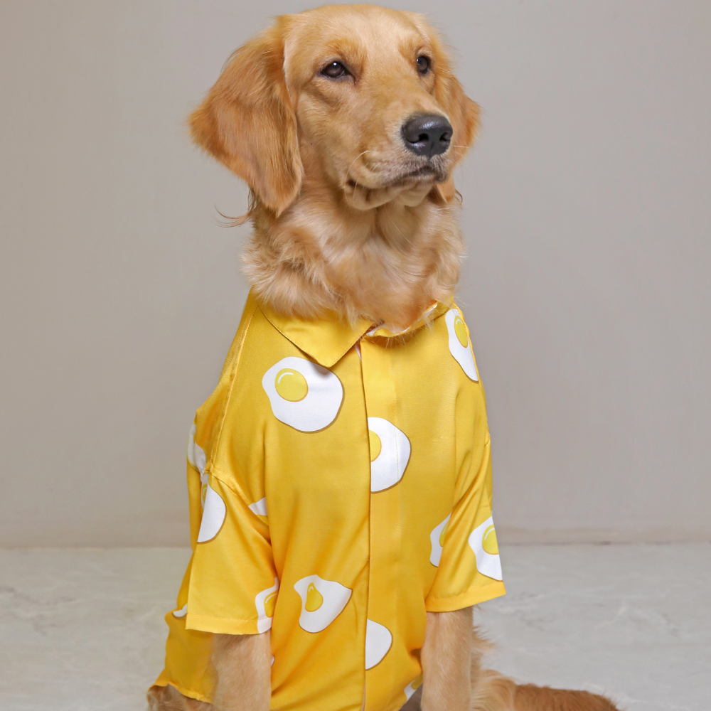 15buttons Sunny Side Up Shirt for Dogs Dogs-Clothing & Accessories 15buttons Dropship
