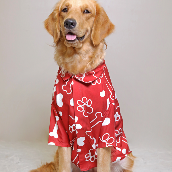 15buttons Paws-tive Love Shirt for Dogs