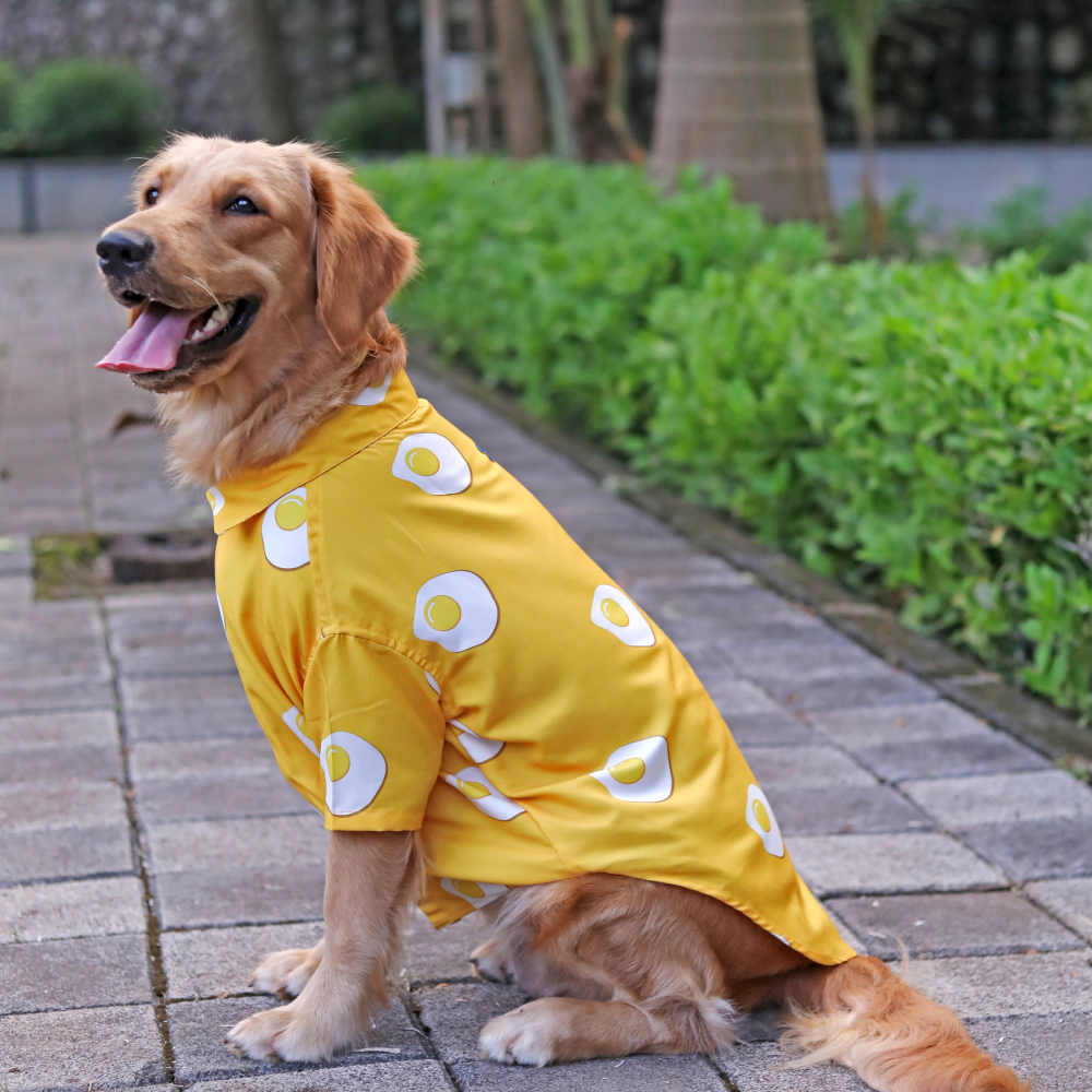 15buttons Sunny Side Up Shirt for Dogs Dogs-Clothing & Accessories 15buttons Dropship 3XL