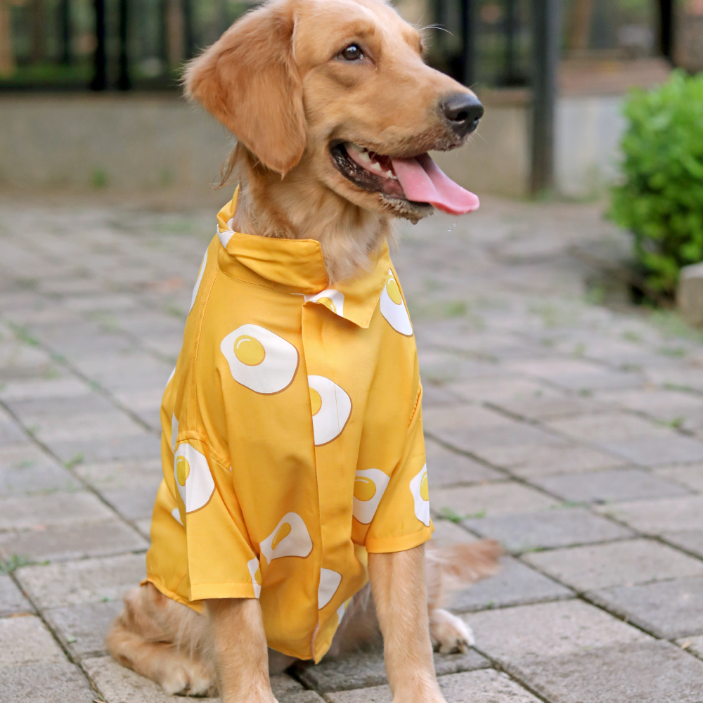 15buttons Sunny Side Up Shirt for Dogs Dogs-Clothing & Accessories 15buttons Dropship