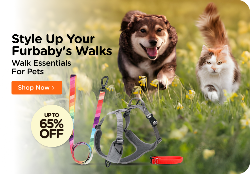 Online dog store deals