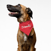 Pawsindia Friendly Pet Bandana for Dogs and Cats Dogs-Clothing & Accessories Pawsindia Dropship