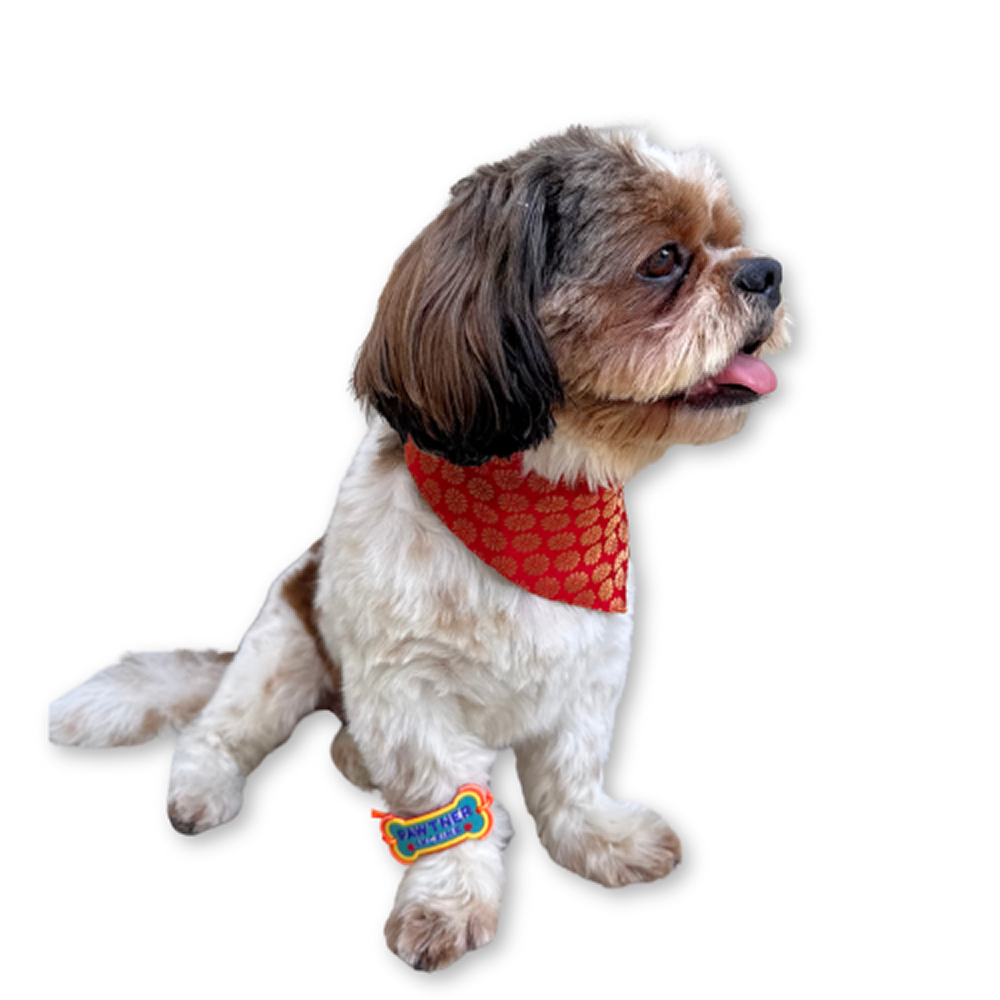 Raksha Bandhan Pawtner in Crime Rakhi for Dogs & Cats by Pawgypets Both-Clothing & Accessories Pawgypets Dropship