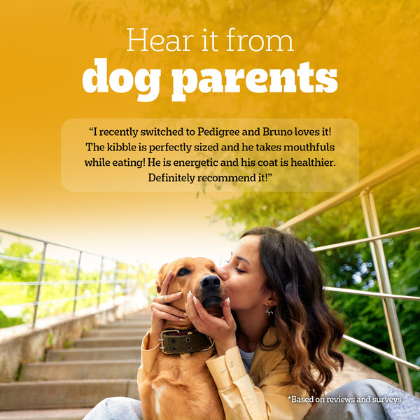 Pedigree Chicken and Vegetables Adult Dry Dog Food