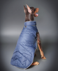 Pet Set Go Wind Sheeter Jackets for Dogs (Blue) Dogs-Clothing & Accessories Pet Set Go Dropship