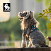 Truelove Ultra Light Harness & Leash Set for Small Dogs (Blue Coral) Both-Collar, Leashes, harnesses True Love