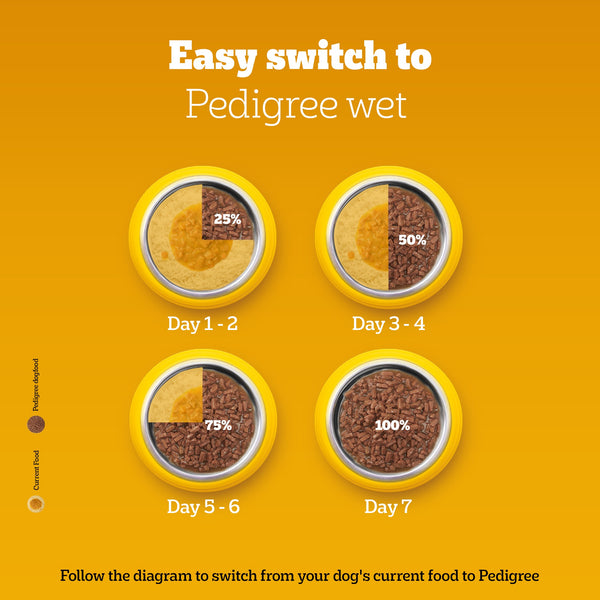 Pedigree Roasted Lamb Flavour Chunks in Gravy Adult Dog Wet Food