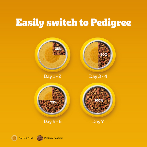 Pedigree Chicken and Vegetables Adult Dog Dry Food