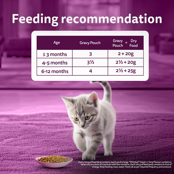 Whiskas Chicken in Gravy Meal Kitten Cat Wet Food