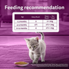 Whiskas Chicken in Gravy Meal Kitten Cat Wet Food Cats-Wet Food Whiskas