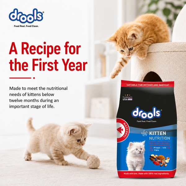 Drools Mackerel Kitten (1 to 12 Months) Cat Dry Food
