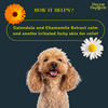 Doctor Doglittle Probiotic Allergy Relief 2 in 1 Shampoo Conditioner for Dogs Dogs-Grooming Supplies Doctor Doglittle