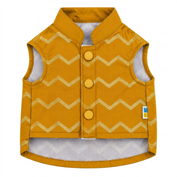 15 Furries Jashn Mustard Sherwani for Cats (Yellow/Gold)