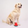 Skatrs Watermelon Shaped Ice Cooling Toy for Dogs & Cats (Green/Red) Dogs-Toys Skatrs