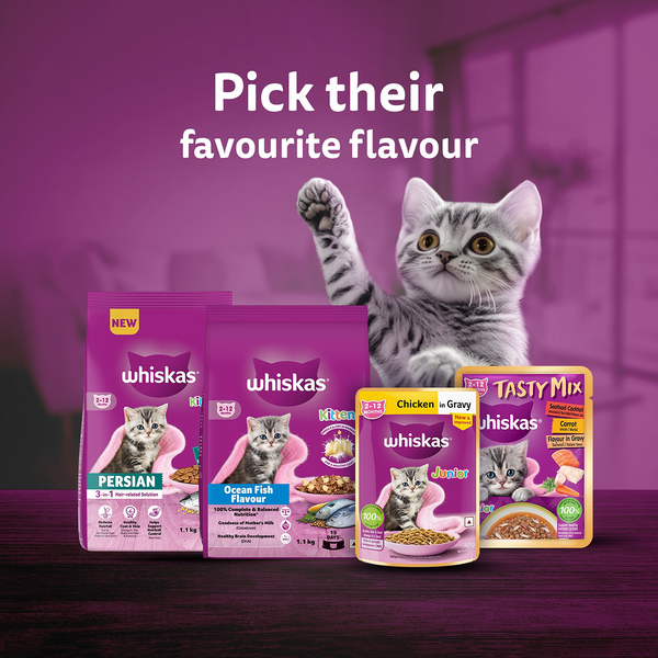 Whiskas Adult Cat Food Combo |Mackerel Dry & Chicken in Gravy Wet