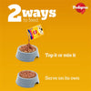 Pedigree Adult Dog Food Combo |Meat & Rice Dry & Chicken & Liver Wet