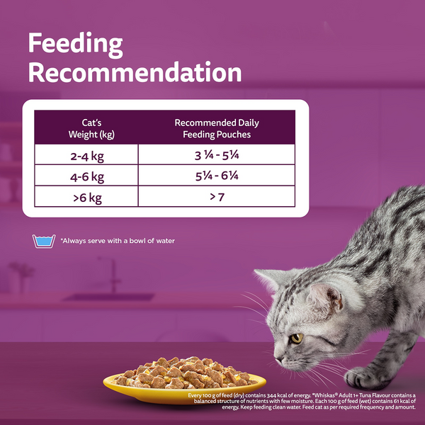 Whiskas Adult Cat Food Combo |Ocean Fish Dry & Salmon in Gravy Wet