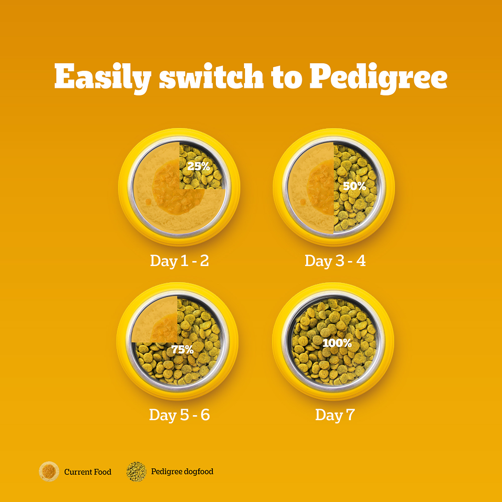 Pedigree Dog Food Combo |100% Vegetarian Dry & Chicken & Liver Wet Dogs- Dry Food Pedigree