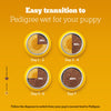 Pedigree Puppy Dog Food Combo |Meat & Milk Dry & Chicken & Liver Wet