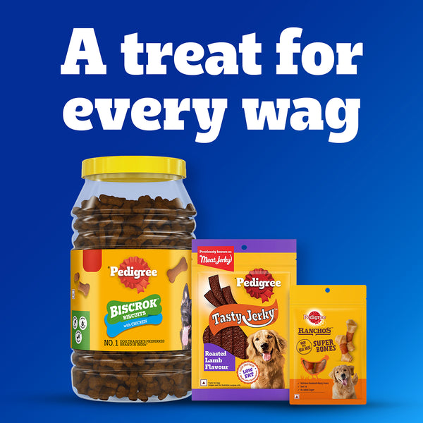 Pedigree Dentastix Oral Care for Adult (Large Breed of 25 kg+) Dog Treats