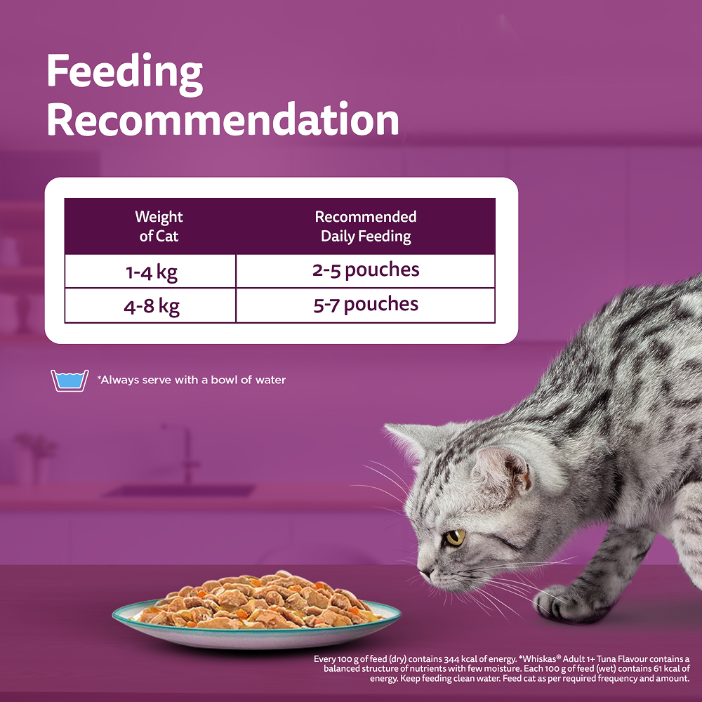 Whiskas Adult Wet Cat Food Combo |Chicken, Tuna & Seafood (Jelly & Gravy) Cats-Wet Food Whiskas