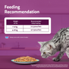 Whiskas Adult Wet Cat Food Combo |Chicken, Tuna & Seafood (Jelly & Gravy) Cats-Wet Food Whiskas