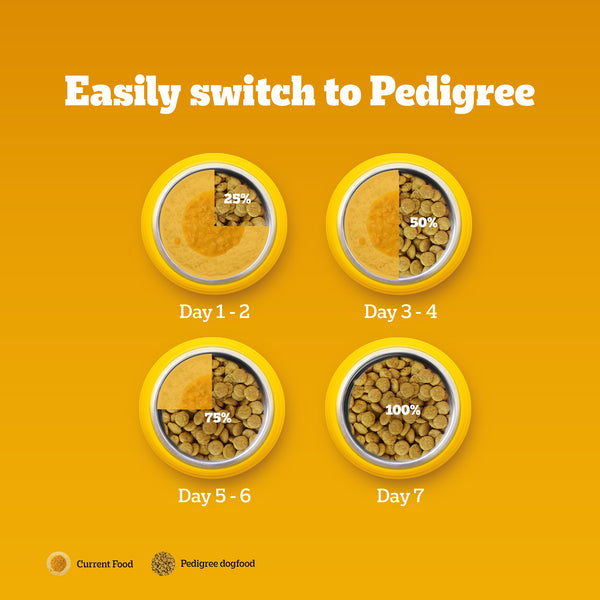 Pedigree Chicken, Egg and Rice Adult Dog Dry Food