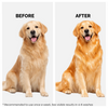 Moe Puppy Oatmeal Glow Shampoo for Dogs & Cats Both-Grooming Supplies Moe