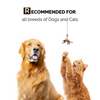 Moe Puppy Oatmeal Glow Shampoo for Dogs & Cats Both-Grooming Supplies Moe