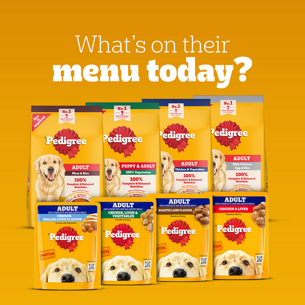 Pedigree Chicken and Liver Chunks in Gravy Adult Dog Wet Food (130g)