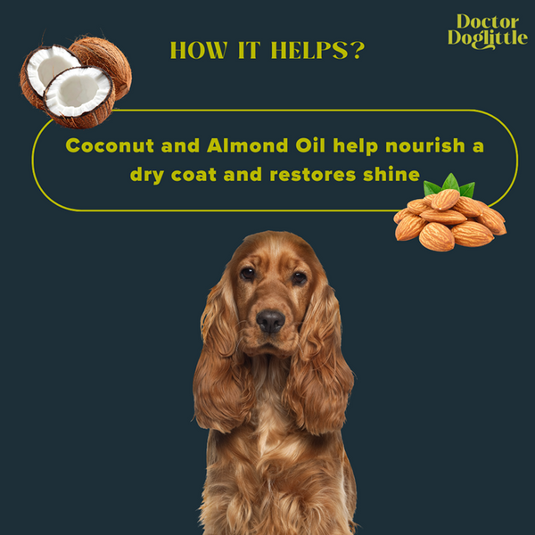 Doctor Doglittle Probiotic Coat Recovery 2 in 1 Shampoo Conditioner for Dogs