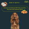 Doctor Doglittle Probiotic Coat Recovery 2 in 1 Shampoo Conditioner for Dogs Dogs-Grooming Supplies Doctor Doglittle