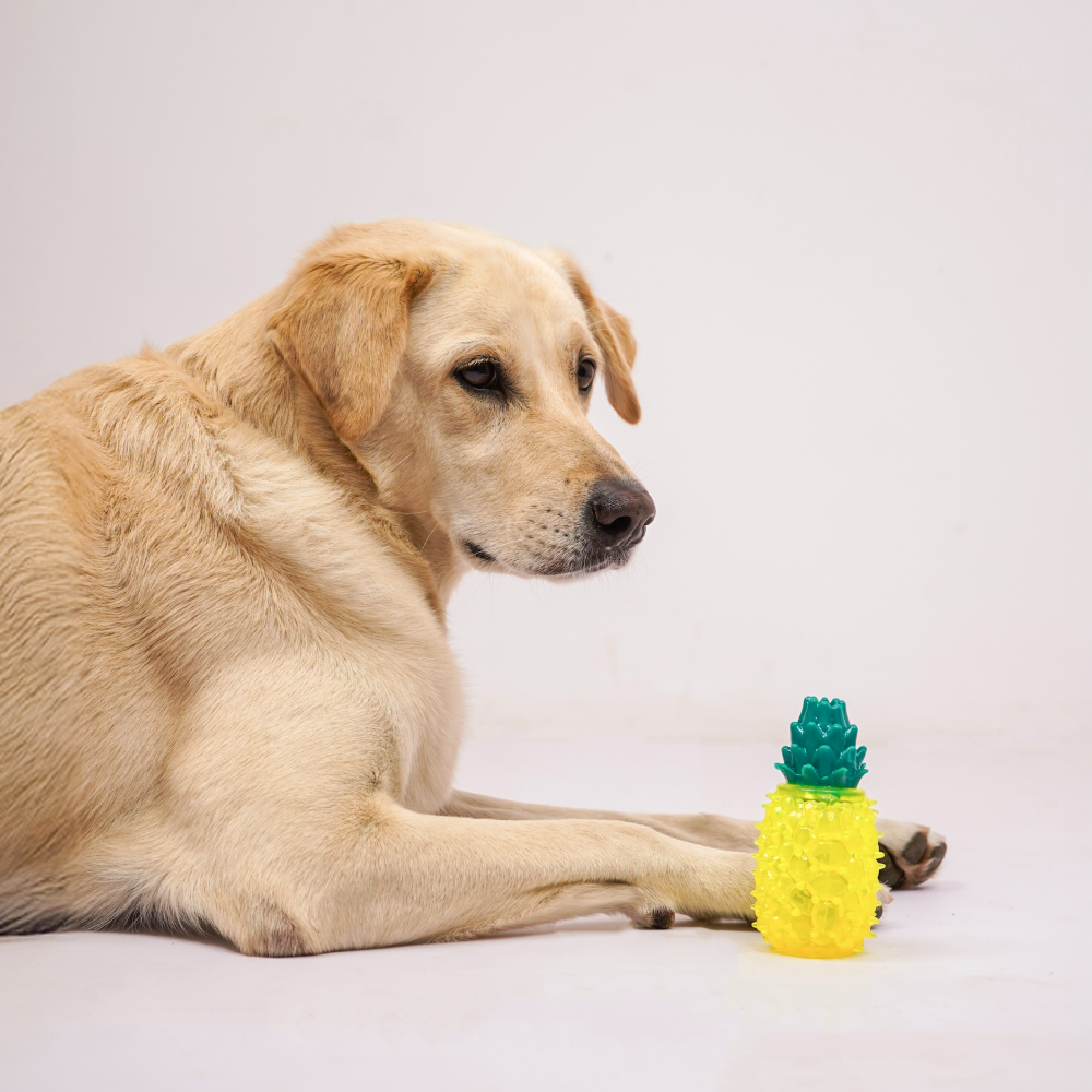 Skatrs Pineapple Shaped Ice Cooling Toy for Dogs & Cats (Yellow) Dogs-Toys Skatrs