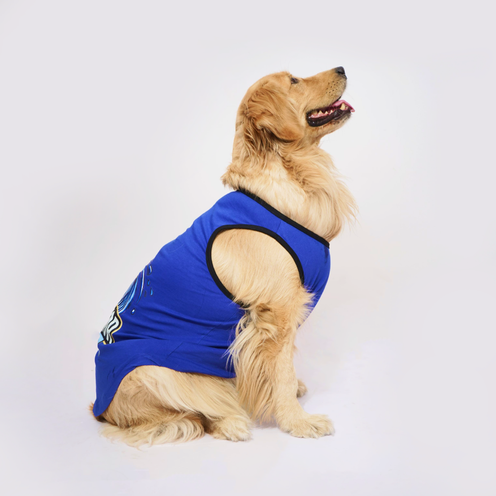 Skatrs Mastikhor Indians Cricket Jersey for Dogs and Cats (Blue) Both-Clothing & Accessories Skatrs