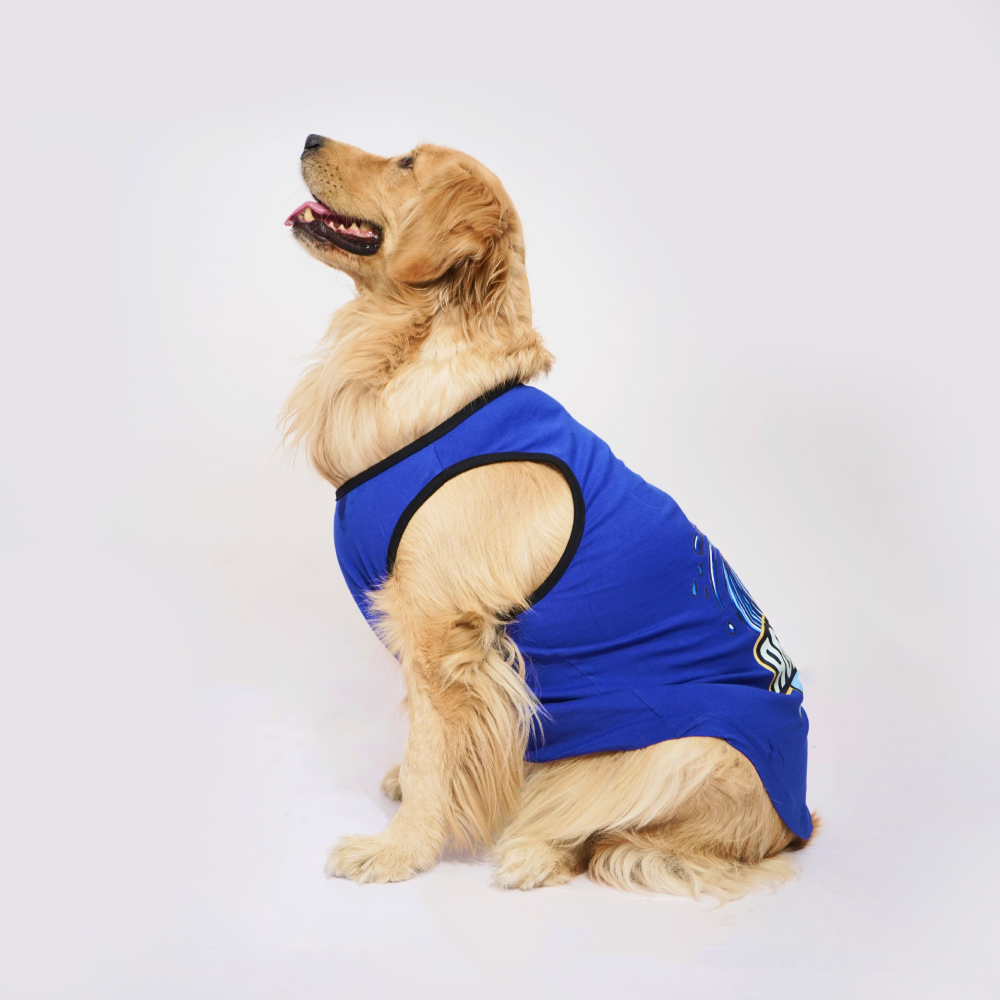 Skatrs Mastikhor Indians Cricket Jersey for Dogs and Cats (Blue) Both-Clothing & Accessories Skatrs