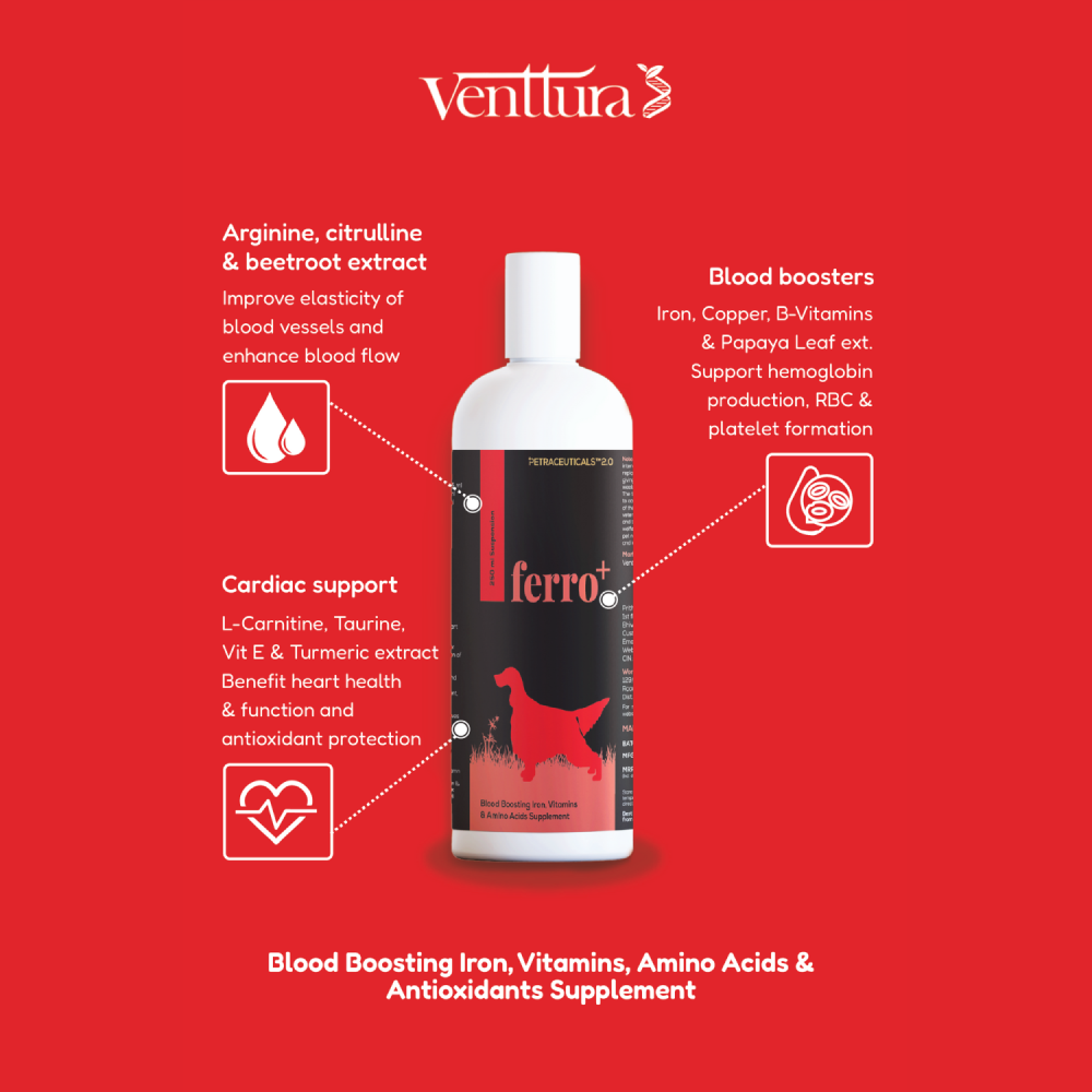 Shop iron vitamins for dogs Outlet - Main Image